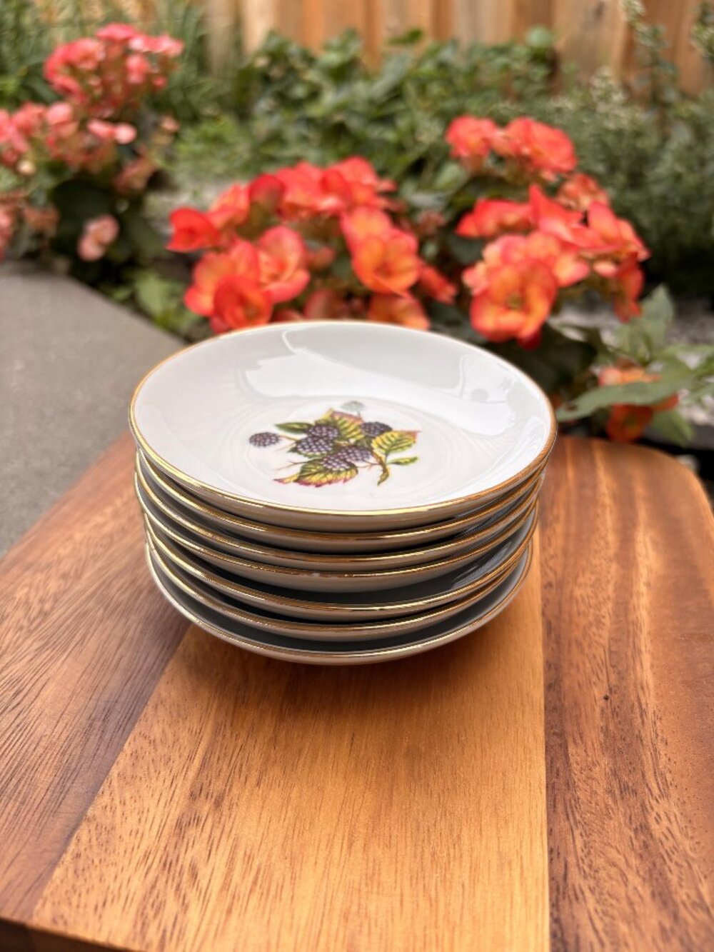 Vintage Naaman Israel Porcelain Fruit Bowls Set | Gold Rimmed Dessert Dishes